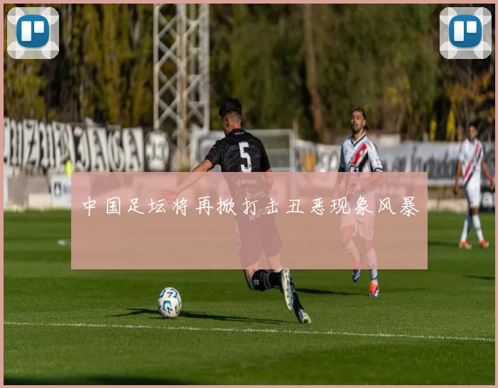 中国足坛将再掀打击丑恶现象风暴